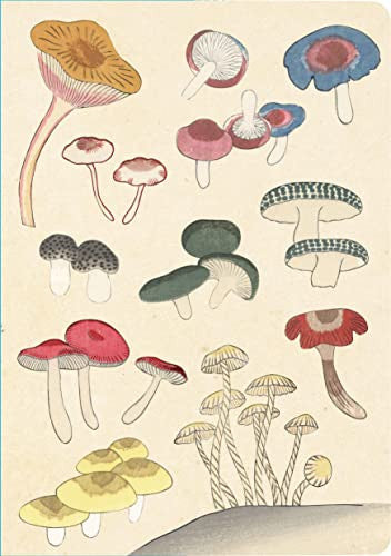 jnb Healing Mushrooms Paperback Journal