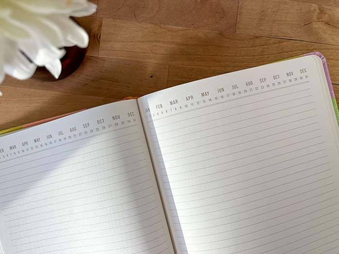 Jnb Velvet Jumbo Journal Check