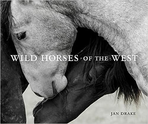 jnb Wild Horses of the West