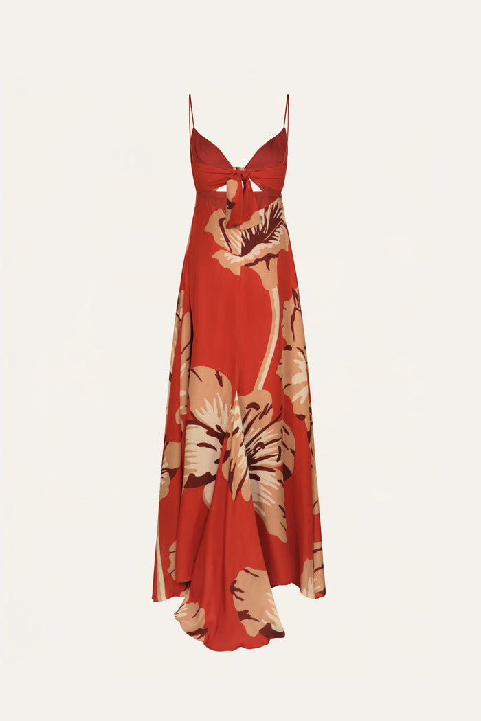 Johanna Ortiz Dreamscape Dress