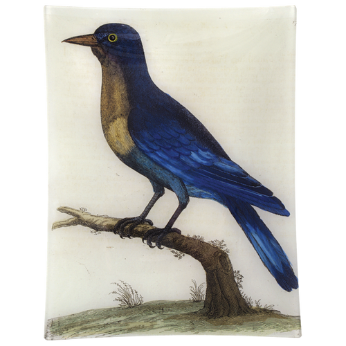 john derian #11 - Good Hope Blue Jay 10" x 13" Rect. Tray