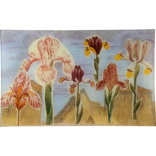 john derian 18th Century Iris (Collage) 10 x 16" Rect. Tray