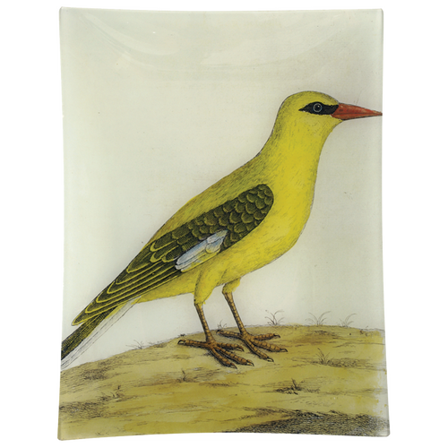 john derian #20 - Bengali Yellow Bird 10" x 13" Rect. Tray