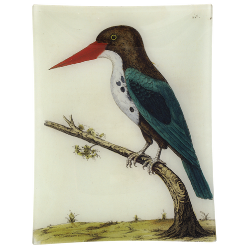 john derian #31 - Green Bengali Bird 10" x 13" Rect. Tray