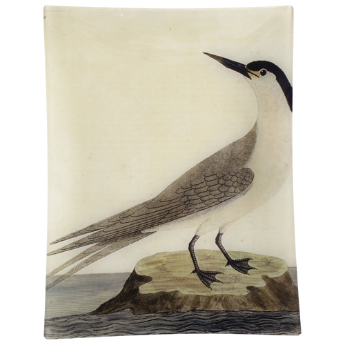john derian #38 - Greater Sea Swallow 10" x 13" Rect. Tray