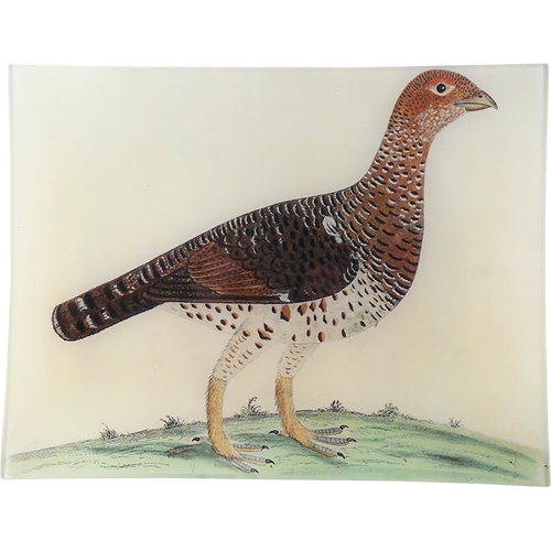 john derian #46 - Moscovian Game Cock 10" x 13" Rect. Tray