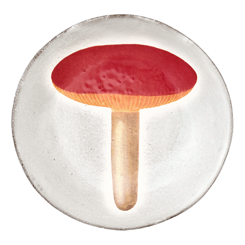 john derian Agaric Alutace Plate Add to cart Assiette Plate Agaric Alutace Details 5.5" Diameter x .5" Deep Glazed terracotta Made in Paris Care Dishwasher safe on a moderate wash cycle. Not microwave safe. John Derian teamed up