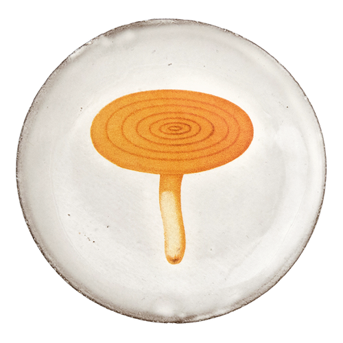 john derian Agaric Caustique Saucer Add to cart Soucoupe Agaric Caustique Details 4.5" Diameter x .5" Deep Glazed terracotta Made in Paris Care Dishwasher safe on a moderate wash cycle. Not microwave safe. John Derian teamed up