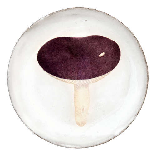 john derian Agaric Emetique Saucer Add to cart Soucoupe Agaric Emetique Details 4.5" Diameter x .5" Deep Glazed terracotta Made in Paris Care Dishwasher safe on a moderate wash cycle. Not microwave safe. John Derian teamed up wi