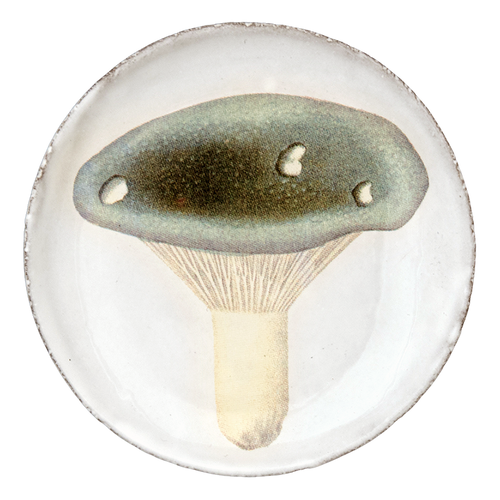 john derian Agaric Fourchu Saucer Add to cart Soucoupe Sragic Fourchu Details 4.5" Diameter x .5" Deep Glazed terracotta Made in Paris Care Dishwasher safe on a moderate wash cycle. Not microwave safe. John Derian teamed up with