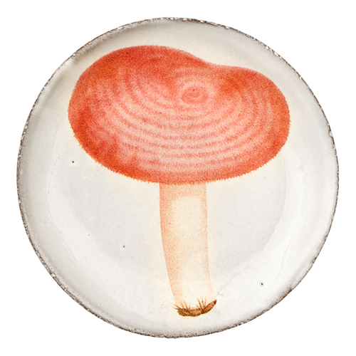john derian Agaric Meurtier Saucer Add to cart Soucoupe Agaric Meurtier Details 4.5" Diameter x .5" Deep Glazed terracotta Made in Paris Care Dishwasher safe on a moderate wash cycle. Not microwave safe. John Derian teamed up wi