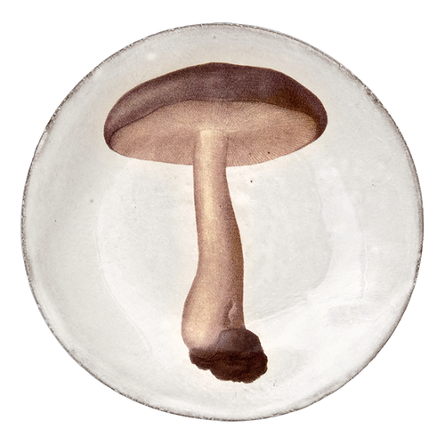 john derian Agaric Nebuleux Plate Add to cart Assiette Plate Agaric Nebuleux5.5" Round0.5" DeepJohn Derian teamed up with Astier de Villatte to add his iconic imagery to their classic white tableware. The 19th-century inspired p
