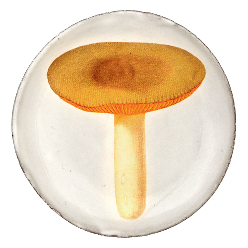 john derian Agaric Sapide Saucer Add to cart Soucoupe Agaric Sapide Details 4.5" Diameter x .5" Deep Glazed terracotta Made in Paris Care Dishwasher safe on a moderate wash cycle. Not microwave safe. John Derian teamed up with A
