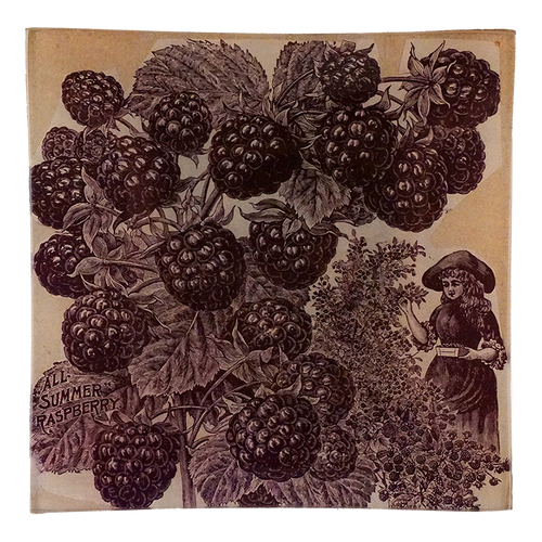 john derian All Summer Raspberry Un Vide Poche (6" Square)
