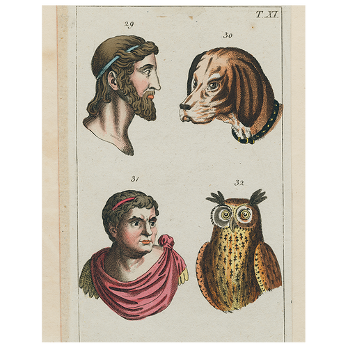 john derian Animal Profiles-Dog (p 290) 11" x 14" Rect. Tray