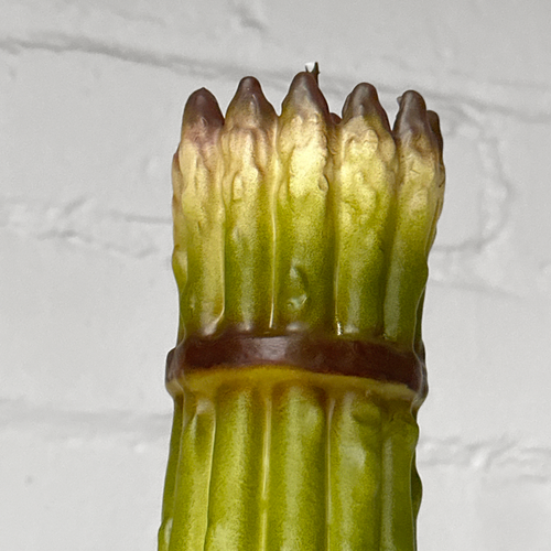 John Derian Asparagus Candle Add To Cart Details Approx. 7" H Paraffin Wax Each Item Will Feature Unique Variations Made In Italy Care Remove All Paper Before Burning. Not Intended For Children. Cereria Introna Has Been Producin