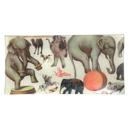 john derian Barnums White Elephant 6 x 12" Pencil Tray