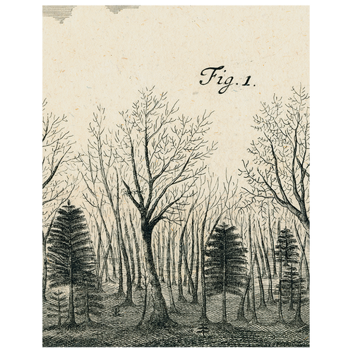 john derian Bats in the Trees (p 169) 11" x 14" Rect. Tray