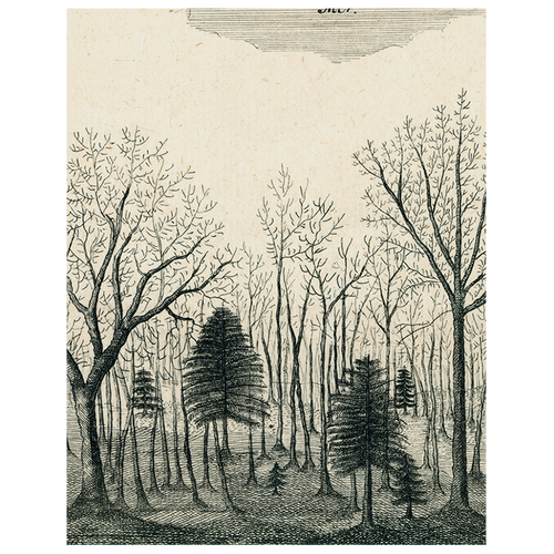 john derian Bats in the Trees (p 170) 11" x 14" Rect. Tray