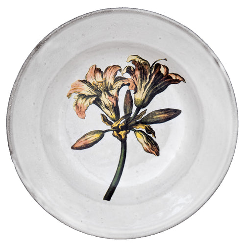 john derian Bella Donna Lilly Soup Plate Add to cart Assiette Creuse Bella Donna Lilly Details 8.7" Diameter x 1.4" Deep Glazed terracotta Made in Paris Care Dishwasher safe on a moderate wash cycle. Not microwave safe. John Der