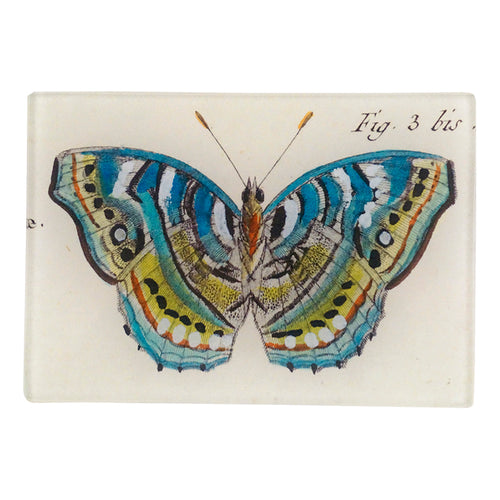 john derian Blue Green Butterfly Fig. 3 bis 3.5 x 5" Tiny Rect. Tray
