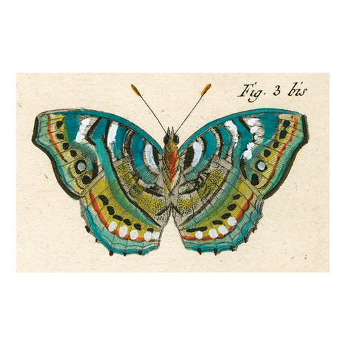 john derian Blue Green Butterfly Postcard (Pack of 10)