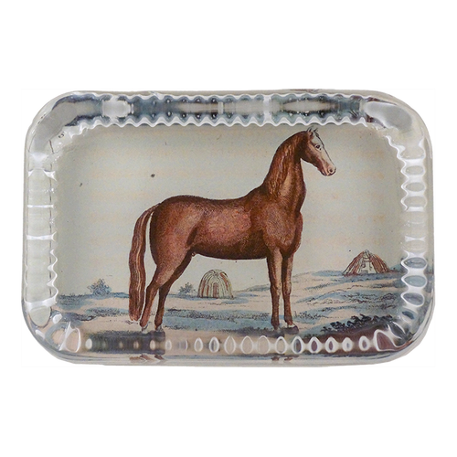 john derian Brown Horse 5 Dotted Edge Large Paperweight