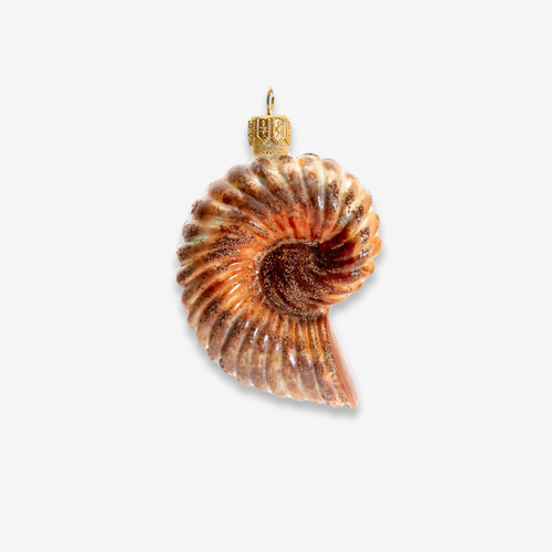 john derian Brown Nautilus Shell Ornament Add to cart All Holiday ornaments and items are final sale and are not eligible for return or exchange.  This Brown Ammonite Shell Ornament feels like a fossilized treasure turned into