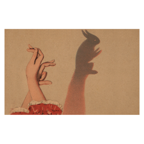 john derian Bunny Shadow Puppet Postcard (Pack of 10)