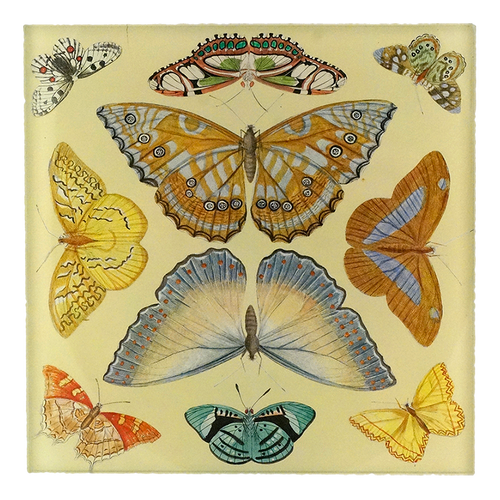 john derian Butterfly Collection 6" Square Spoon Rest