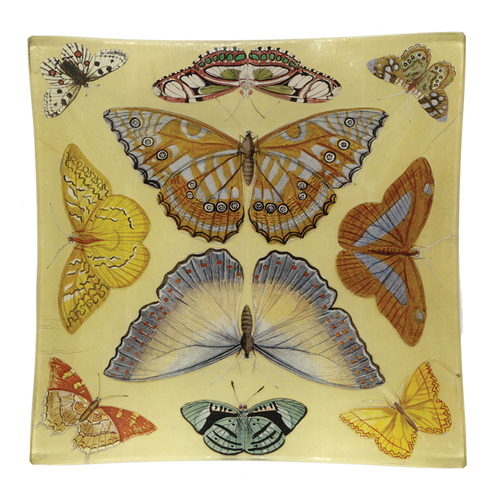 john derian Butterfly Collection Un Vide Poche (6" Square)
