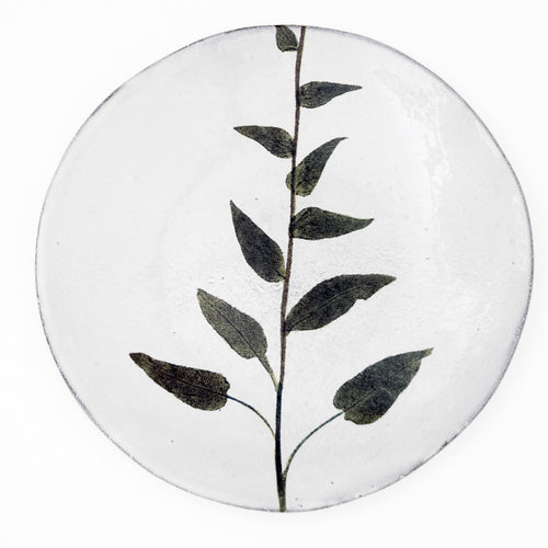 john derian Campanula Plate Add to cart Assiette Campanula Details 9.4" Diameter x .8 Deep Glazed terracotta Made in Paris Care Dishwasher safe on a moderate wash cycle. Not microwave safe. Image Origin Pressed leaves Holland 17