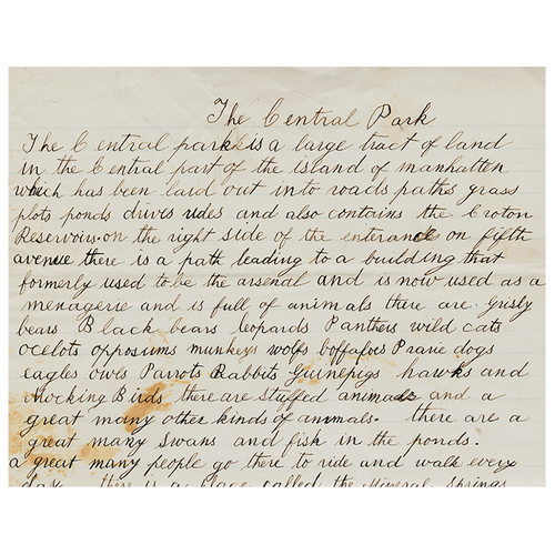 john derian Central Park Essay (p 33) 11" x 14" Rect. Tray