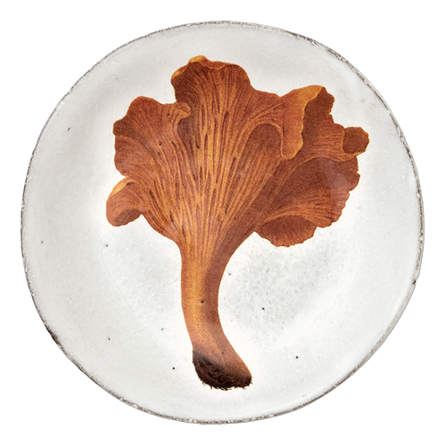 john derian Chanterelle Comestible Plate Add to cart Chanterelle Comestible Plate Details 5.5" Diameter x .5" Deep Glazed terracotta Made in Paris Care Dishwasher safe on a moderate wash cycle. Not microwave safe. John Derian te