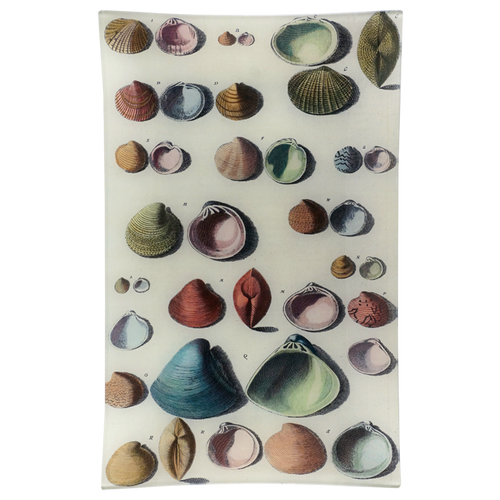 john derian Chart of Small Shells 10 x 16" Rect. Tray