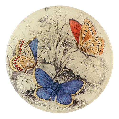 john derian Copper & Common (Blue Butterflies (Entomology)) 4" Round Plate