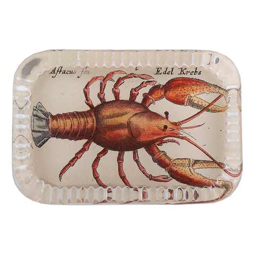 john derian Cray Fish Dotted Edge Large Paperweight