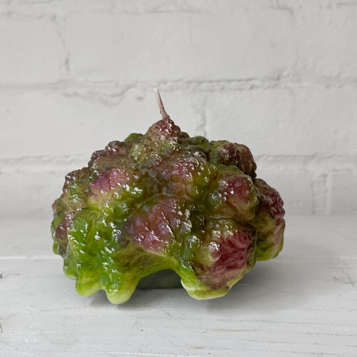 john derian Dark Green Cabbage Shaped Candle Add to cart This cabbage candle is also available with cabbage leaf base here. Details 5" W x 3" H Paraffin Wax Each item will feature unique variations Made in Italy Care Remove All