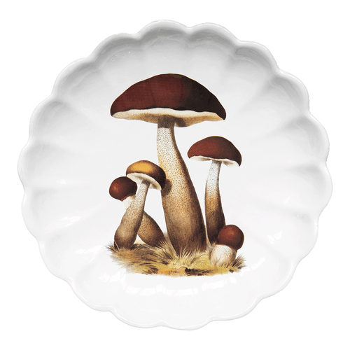 john derian Deep Mushroom Cluster Platter Add to cart Details 13" L x 10" W x 0.6" Deep Glazed terracotta Made in Paris Care Dishwasher safe on a moderate wash cycle. Not microwave safe. John Derian teamed up with Astier de Vil