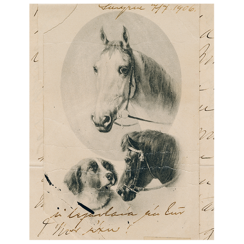 john derian Dog with Horses (p 306) 11" x 14" Rect. Tray