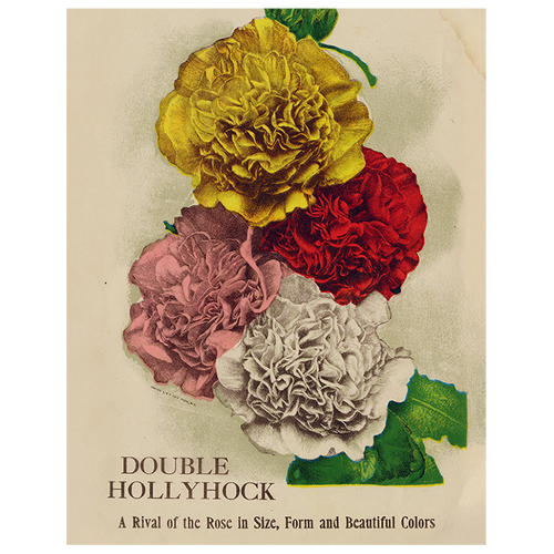 john derian Double Hollyhock (p 265) 11" x 14" Rect. Tray