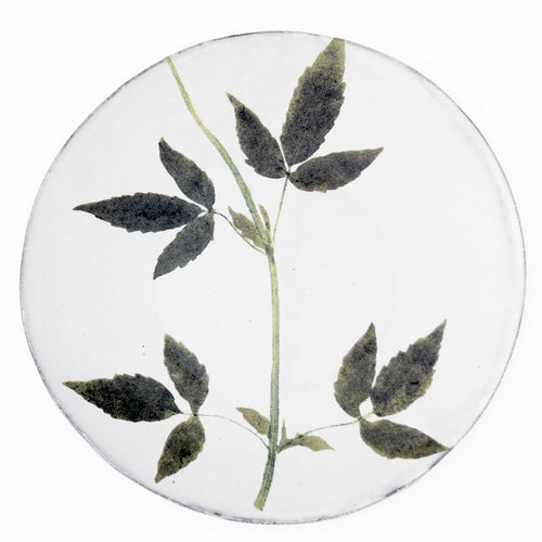 john derian Drachocephalum Plate Add to cart Assiette Drachocephalum Details 9.4" Diameter x .8 Deep Glazed terracotta Made in Paris Care Dishwasher safe on a moderate wash cycle. Not microwave safe. Image Origin Pressed leaves