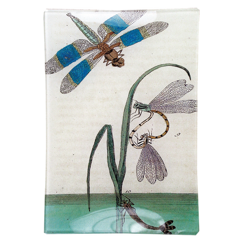 john derian Dragonfly Over Water 4.5 x 6.5" Mini-Tray