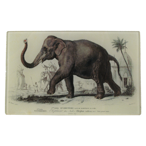 john derian Elephant des Indes 5 x 8" Cell Phone Tray
