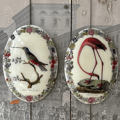 John Derian Flamingo With Flowers (Convex) 13 X 18" Oval