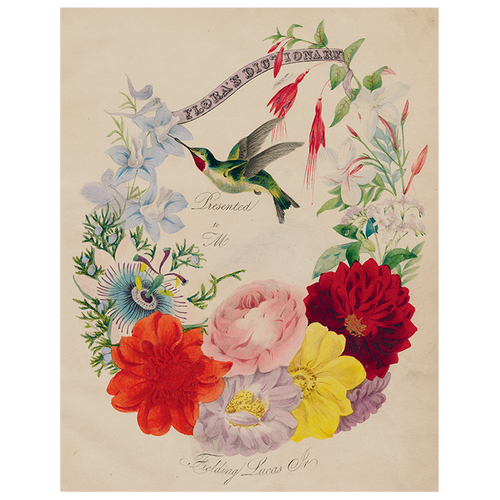 john derian Flora's Dictionary (Hummingbirds) (p 262) 11" x 14" Rect. Tray