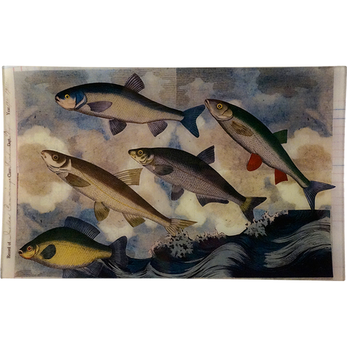 john derian Flying Fish 1 (Collage) 10 x 16" Rect. Tray