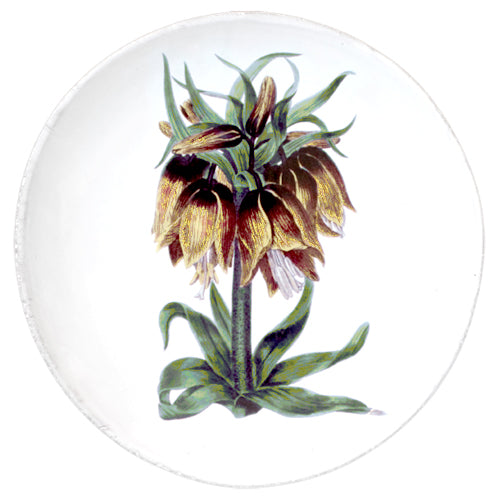 john derian Fritillaria Flower Dinner Plate Add to cart Assiette Plate Fleur Jaune Details 10" Diameter x .4" Deep Glazed terracotta Made in Paris Care Dishwasher safe on a moderate wash cycle. Not microwave safe. John Derian te