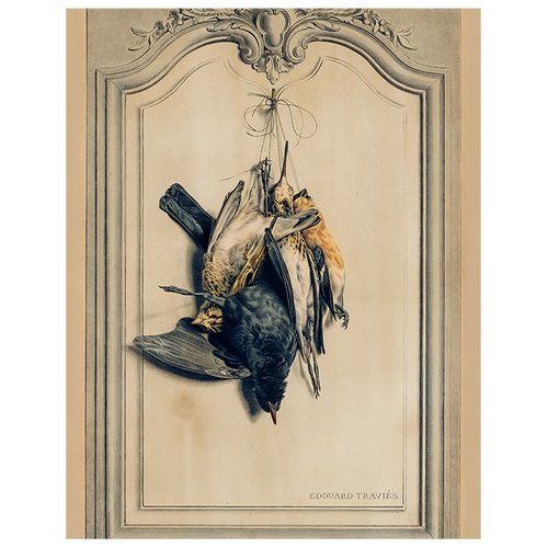 john derian Game Birds: Dark (p 332) 11" x 14" Rect. Tray