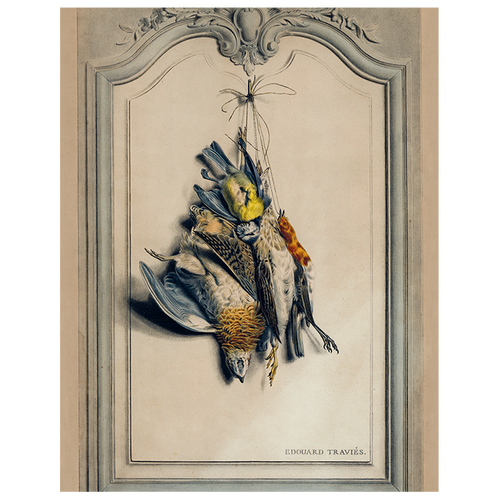 john derian Game Birds: Light (p 331) 11" x 14" Rect. Tray